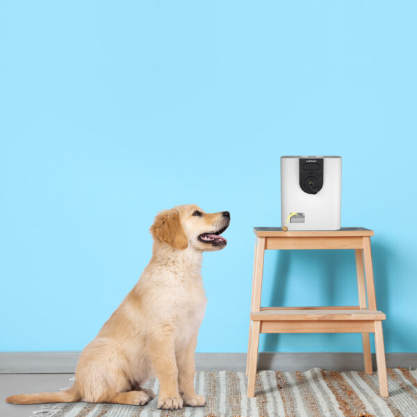 Lusimpo Pet Camera with Treat Dispenser - Image 2